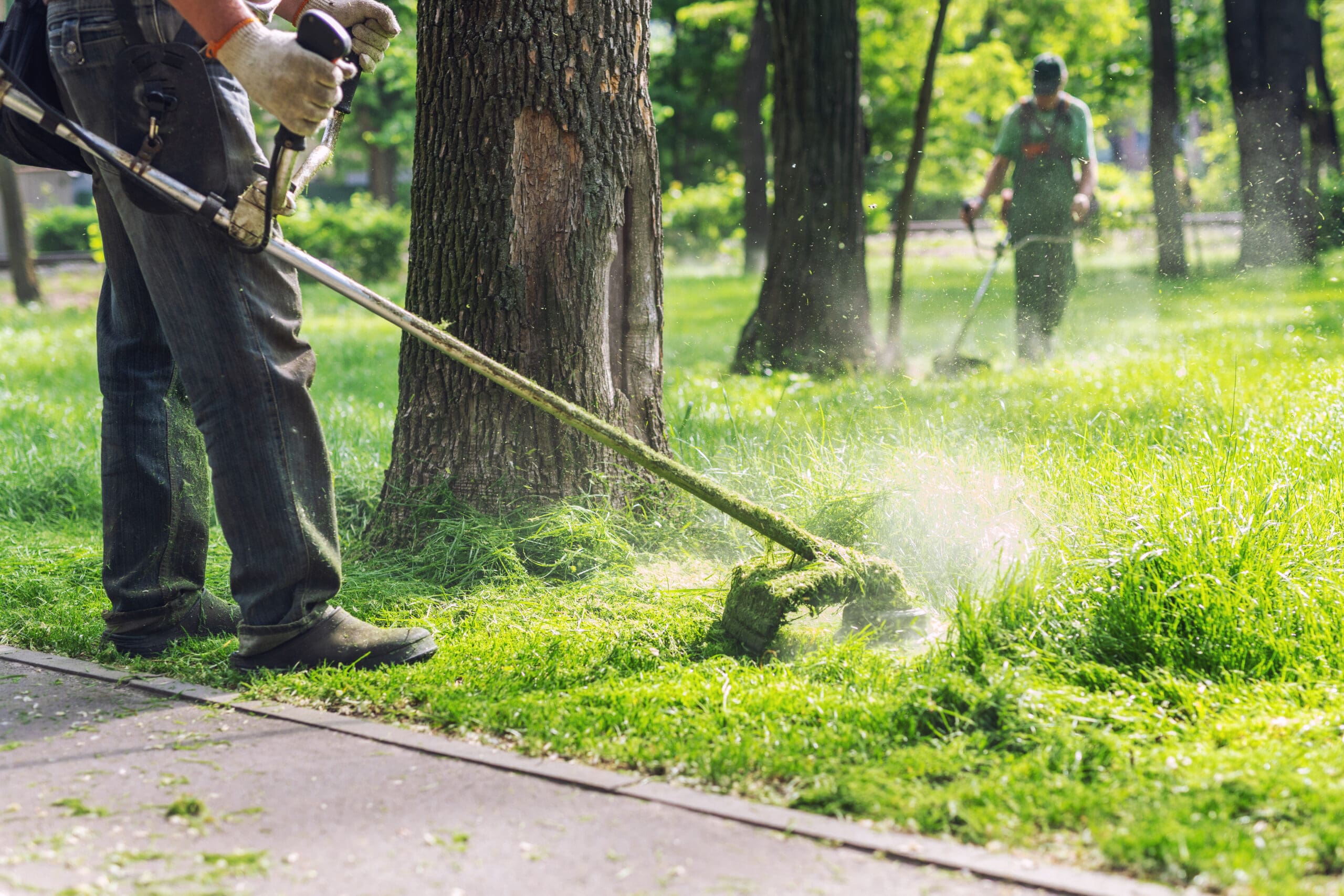 Worker mowing tall grass with electric or petrol lawn trimmer in city park or backyard.